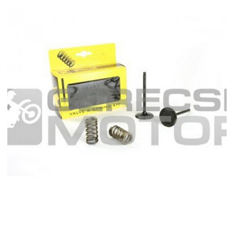 Acél szívó szelep Rugó szettel PROX