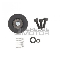 Gyorsító szivattyú felújító készlet ALL BALLS