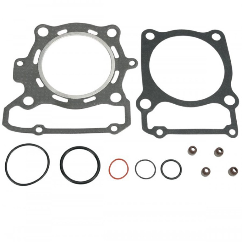 Komplett tömítés készlet KLX300R