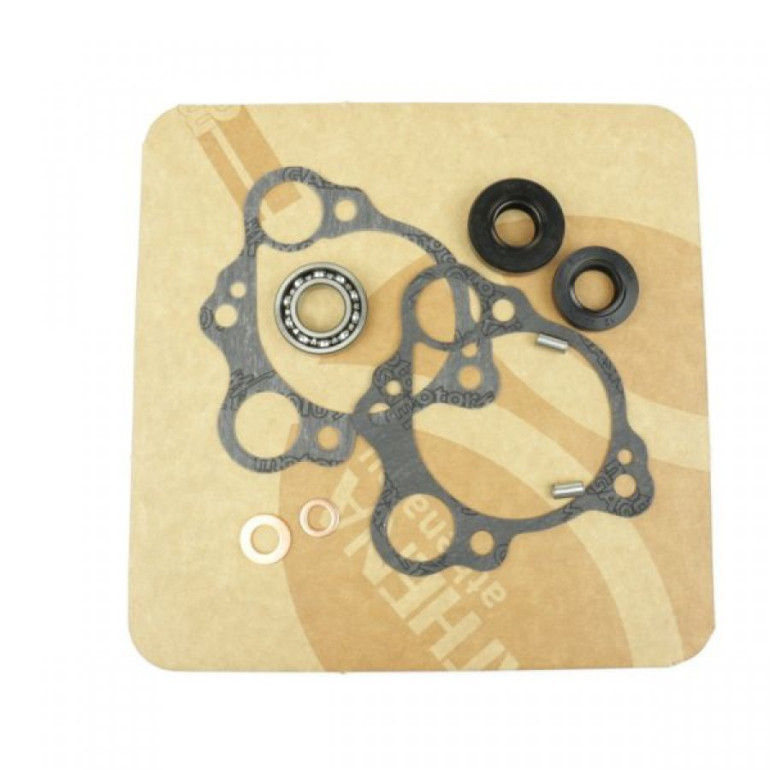 Vízpumpa felújító készlet Athena