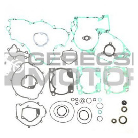 Komplett tömítés szett PROX